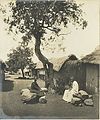 Street in Akropong, with trees under which elders sit for palavers, 1890s