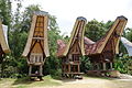 Image 93Tana Toraja in South Sulawesi, one of Destination Management Organization in Indonesia (from Tourism in Indonesia)