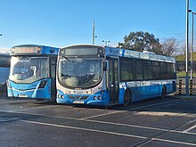 Two single deck buses, one painted two-tone blue and the other painted blue and white, parked together in a bus station