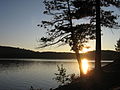 A picture I took in Algonquin Park, in Northern Ontario.