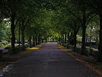 Uppsala old cemetery