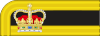 Lieutenant-Colonel