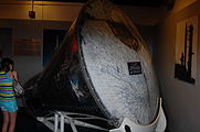 Gemini 2 heatshield