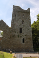 Kilfane Castle, a presbytery attached to Kilfane church