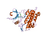1rw8: Crystal Structure of TGF-beta receptor I kinase with ATP site inhibitor