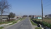 Village of Prisaca