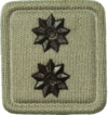 Lieutenant embossed badge