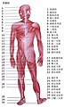 2021年1月16日 (六) 06:43版本的缩略图