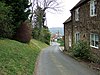 Street scene with a narrow road with houses on the right and trees on the left.