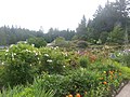 Butchart Gardens