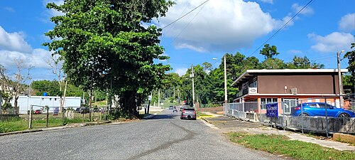 Puerto Rico Highway 6633 in Hato Viejo