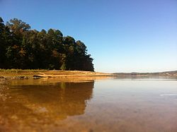 A view from Lake Hartwell of the Clemson Experimental Forest
