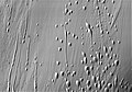 Dunes of Hyperboreae Undae