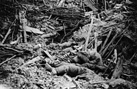 German trench destroyed by the explosion of a mine in the Battle of Messines. Approximately 10,000 German troops were killed when the mines were simultaneously detonated at 3:10 a.m. on 7 June 1917.