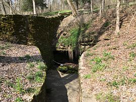 A photo of the sinking spring in Abraham Lincoln Birthplace National Historical Park.