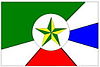 Flag of Novo Repartimento