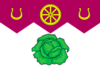 丘法罗沃旗帜