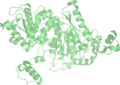 PDB: 1GZV​. Phosphoglucose isomerase. Pig Muscle. Complexed with 5-phosphoarabinoate.