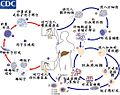 於 2017年6月3日 (六) 15:23 版本的縮圖