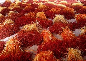 Saffron is both a spice and a widely used dye in Asia, especially in India.
