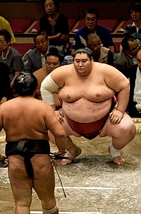 A sumo wrestler facing the camera with another facing away from the camera in front of him