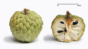 Sugar apple with cross-section