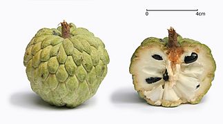 Sugar apple with cross section