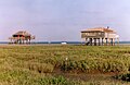 Arcachon Bay