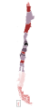 COVID-19 outbreak cases in Chile (total cases per region).