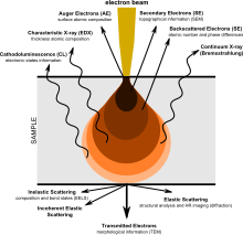 Pictorial diagram showing signals generated when an electron beam interacts with a sample of matter. At the top, the primary electron beam impinges on the sample. Various types of emissions are shown in order of increasing penetration depth of the beam. Near the top are Auger Electrons, followed by Secondary Electrons, then Backscattered Electrons, all emerging in the general direction towards the impinging beam. Next are four types of radiation (shown with wavy arrows): Characteristic X-rays, Continuum X-rays, Cathodo-luminescence, and Fluorescent X-rays. The later two are shown as being emitted from the same depth. Finally, shown having passed through the body of the sample are, in increasing order of angular displacement from the beam axis, Transmitted Electrons, Diffracted Electrons, and Scattered Elections.