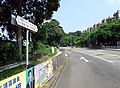 大埔公路－元洲仔段