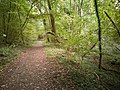 A walking path in October