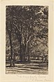 Dutch Elm grove, Kensington Gardens, etching by Seymour Haden (1860)