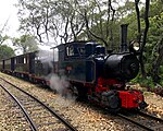St Nicholas Abbey Heritage Railway (Barbados), Jung locomotive No 5.