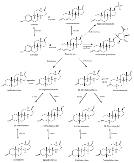 Testosterone structures