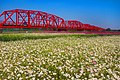 雲林縣西螺大橋