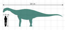 Bonitasaura size chart