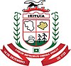 Official seal of Irituia