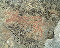 A moose painted with red ochre near Fångsjön