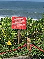 巴厘岛景区上的 forbidden to stand on（禁止站在上方）被机器翻译成了“严禁站在”