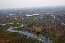 An aerial view of the delta