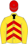 Yellow, red chevrons, yellow sleeves, red cap