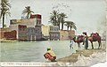 Post card of village scene in Cairo