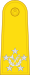泰国空军元帅肩章