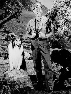 After 10 seasons on the farm with the Millers and the Martins, the series shifted to Lassie's adventures with the U.S. Forest Service during seasons 11-16, the bulk of that time featuring Robert Bray as Ranger Corey Stuart.