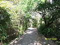 Walkway toward City Zoo. During quarry operations it was used as a cart path.