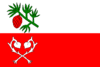 Flag of Sosnová