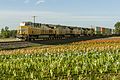 Image 37A Union Pacific freight train; high clearances enable double-stacked containers to be carried in well cars. (from Train)