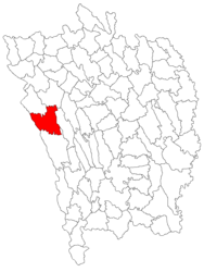 Location in Vaslui County