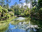 Tamborine Mountain Botanic Gardens